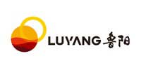 LUYANG Parts in USA